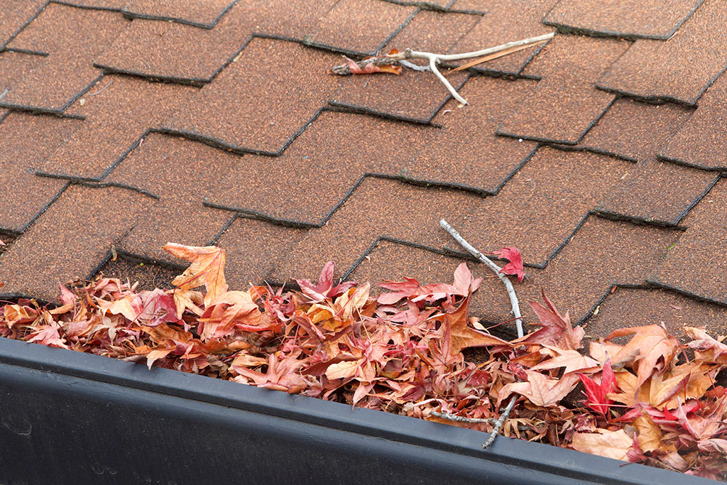 Inspect your roof and clean your gutters.